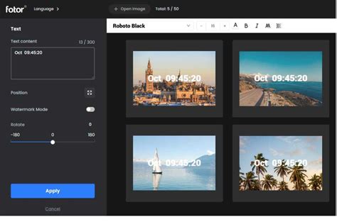 Add Date to Photo: Free Online Photo Date Stamper.